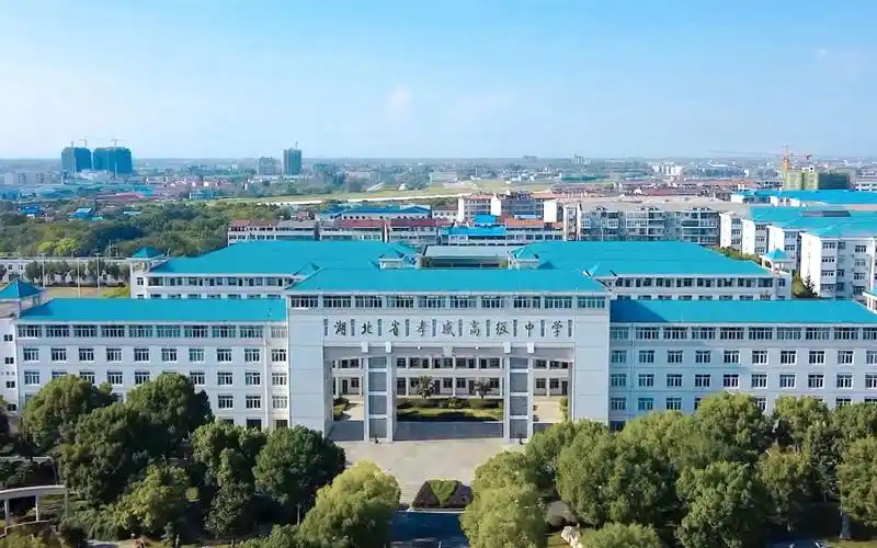 哔哩哔哩_bilibili