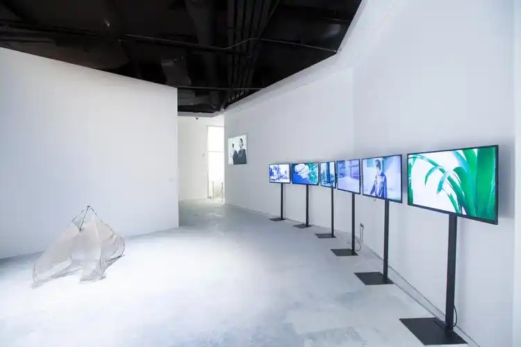 【沈阳】沈阳chi k11艺术空间"在集结"展览持续发酵