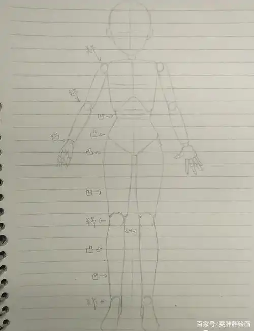 「漫画基础课」人体结构的画法