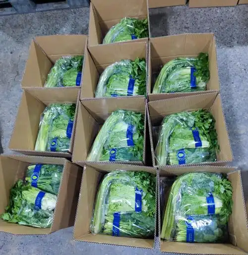 疫情期间,在这里团购肉类,蔬菜,水果.可直送社区