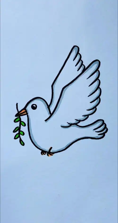 画画原来如此简单简笔画鸽子