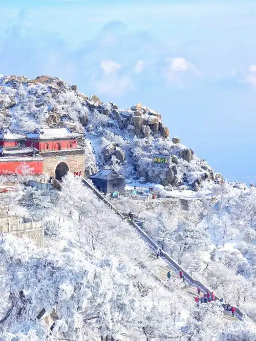 爬了50多次泰山,雪后泰山才是yyds6015