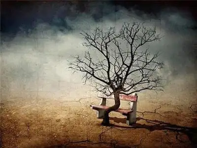 如何从人生绝境中走出来?