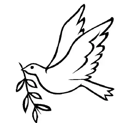 简单鸽子简笔画来啦小朋友们在下一个鸽子简笔画的画法步骤鸽子简笔