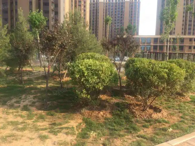 阳光花园(邯山),009乡道-邯郸阳光花园(邯山)二手房,租房,房价-邯郸