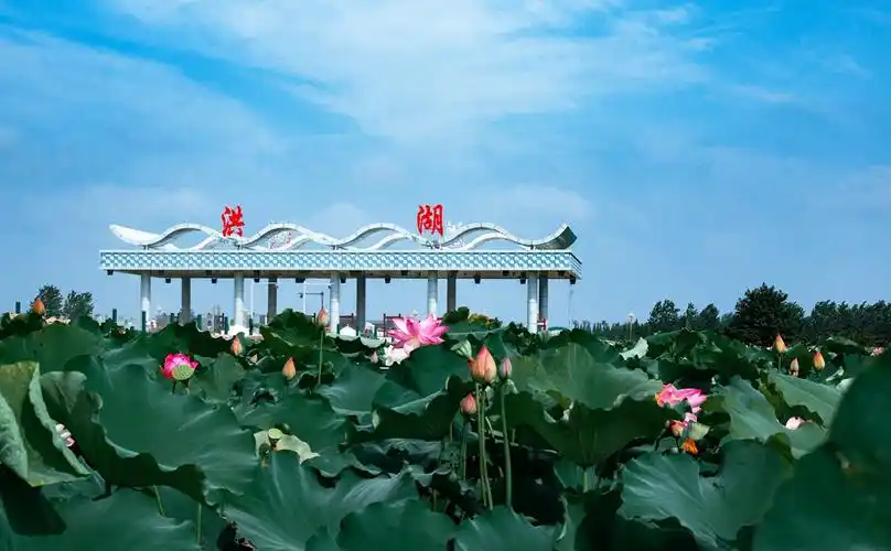 我镜头里的大美洪湖风光(第一集)