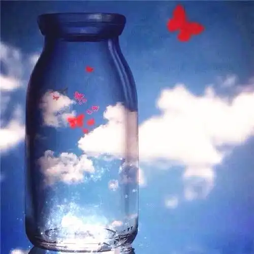 瓶子唯美意境图片能装下世间美景的瓶子