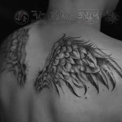 后背肩胛双翼翅膀抽象线条速写 _纹身吧社区 - 纹身大咖
