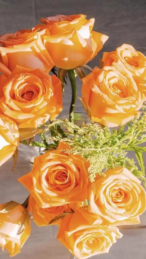 一组非常惊艳的温暖黄色系壁纸,止不住的心动