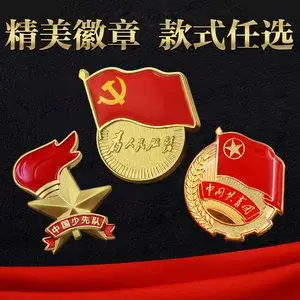 党徽 标准强磁党员胸徽 高档标准型磁扣别针党微磁铁蝴蝶扣胸针胸章