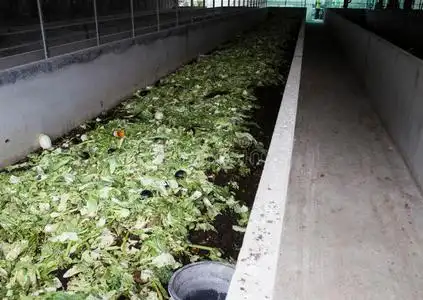 蚯蚓养殖场照片