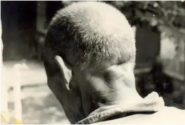 日军731部队中的幸存者,整整用了5天5夜的时间,才逃回家中