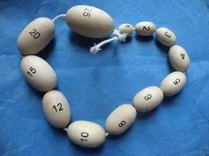 睾丸大小实物对比_竞价网