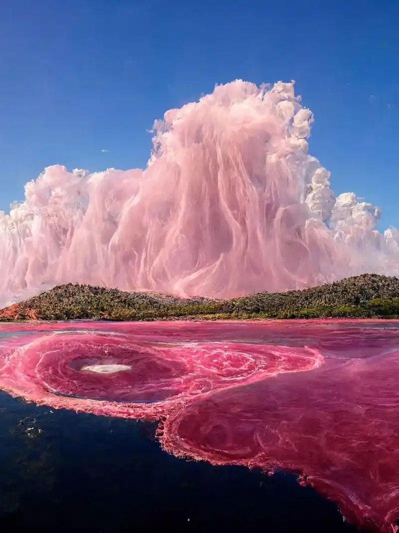 世界十大粉色沙滩94唤醒我的少女心  94哈勃岛海滩harbour island