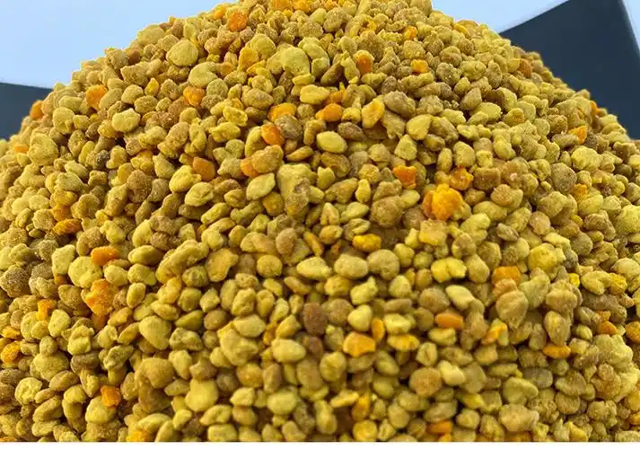 油菜花粉喂蜂养蜂繁蜂蜜蜂饲料青海颗粒油菜杂蜂花粉蜂粮新手养蜂