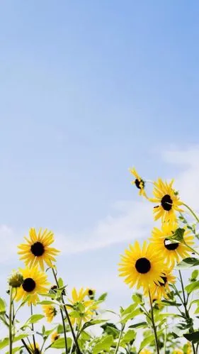 最美天空壁纸 简约 干净 唯美-堆糖,美好生活研究所