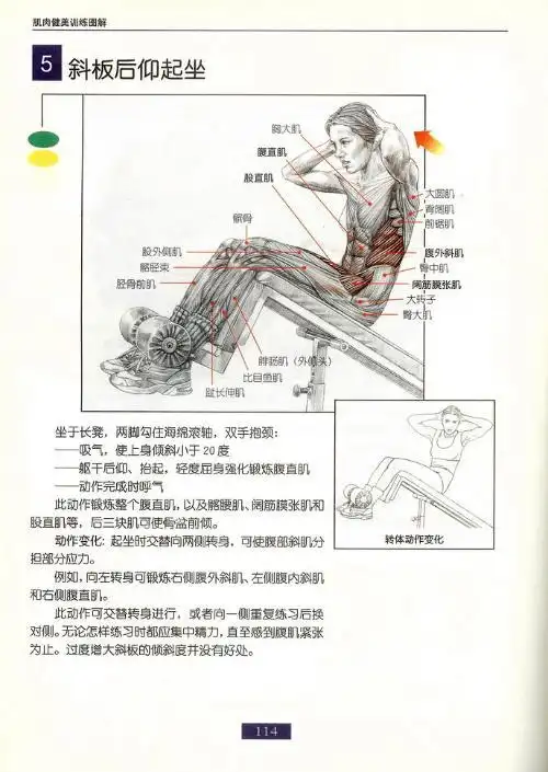 做仰卧起坐能减肚子吗?有的说能,有的说不能?那在什么时段做最好呢?
