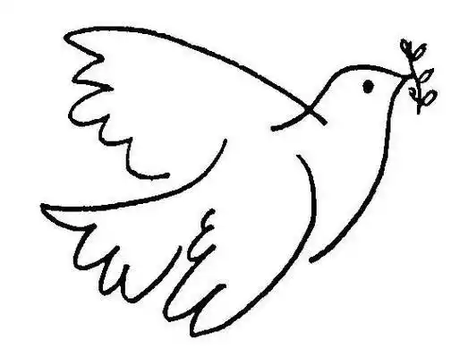 白鸽简笔画图片 白鸽简笔画图片大全