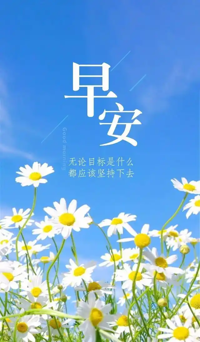 适合早上发朋友圈的早安图片
