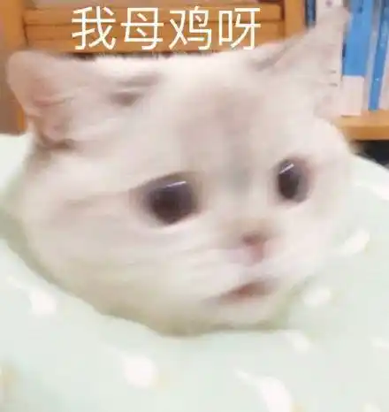 我母鸡呀_母鸡表情