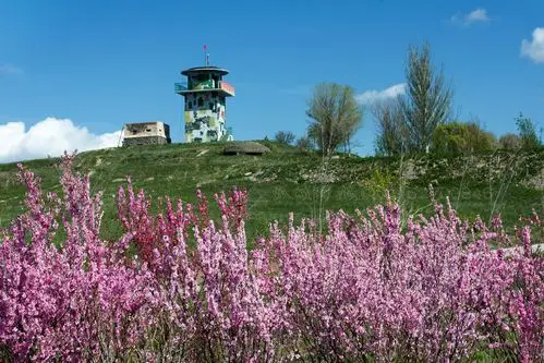 小白杨哨所之春