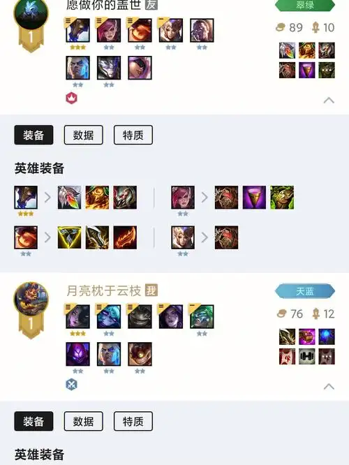 云顶之弈s65双人