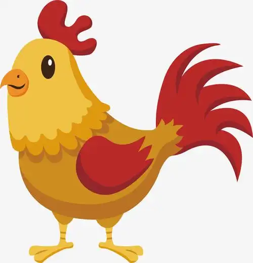 可爱大公鸡