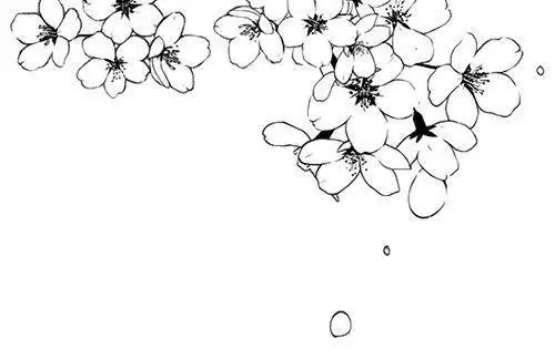 飘舞的花瓣简笔画