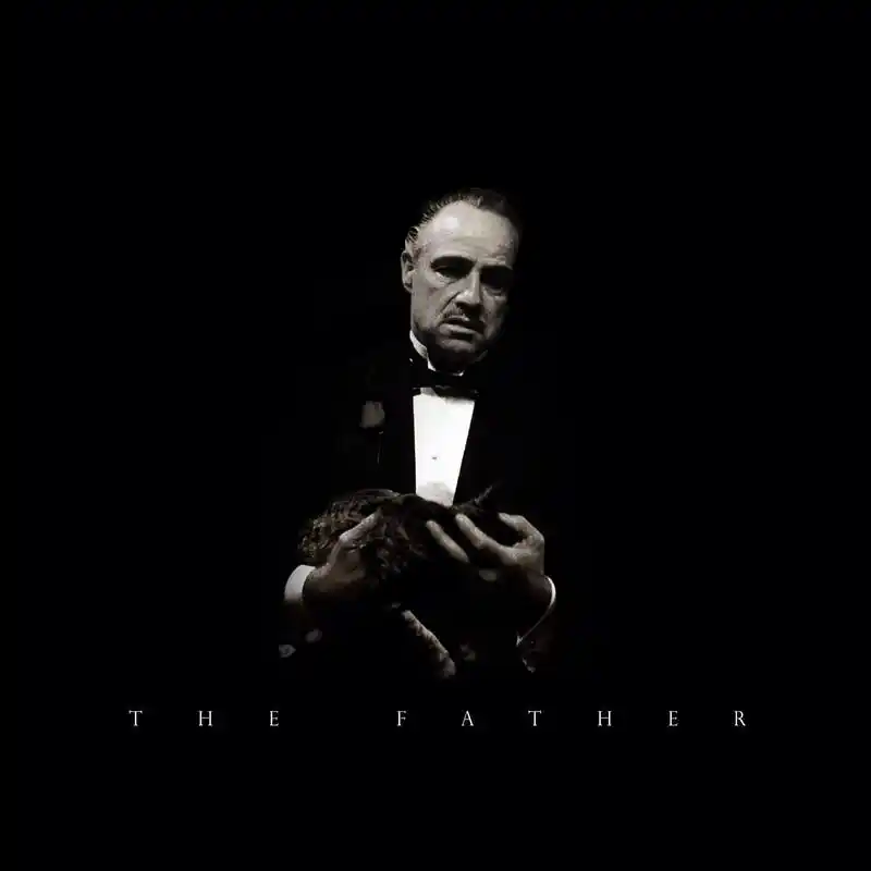 一位身不由己的父亲电影教父1观感1