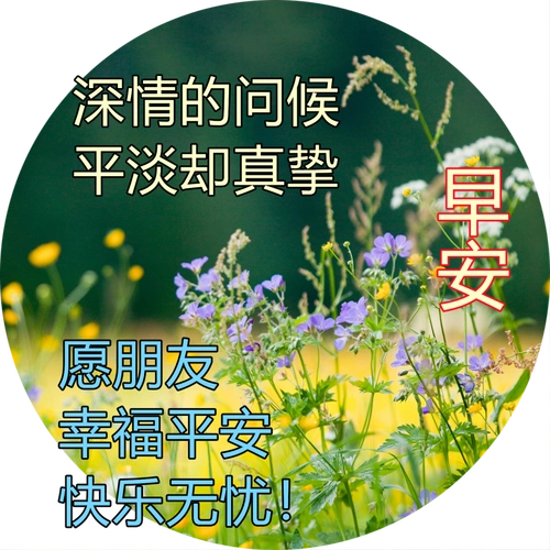 周六最新早上好问候动态图带字 最美早安问候图片带字温馨