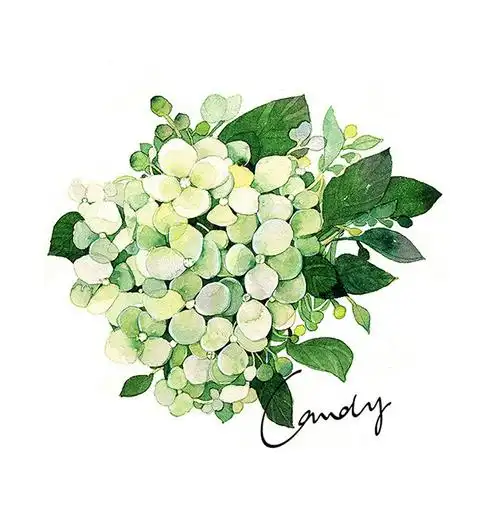 风景 人物 森系 手绘 水彩 涂鸦 星空 唯美 意境 背景 二次元 小清新