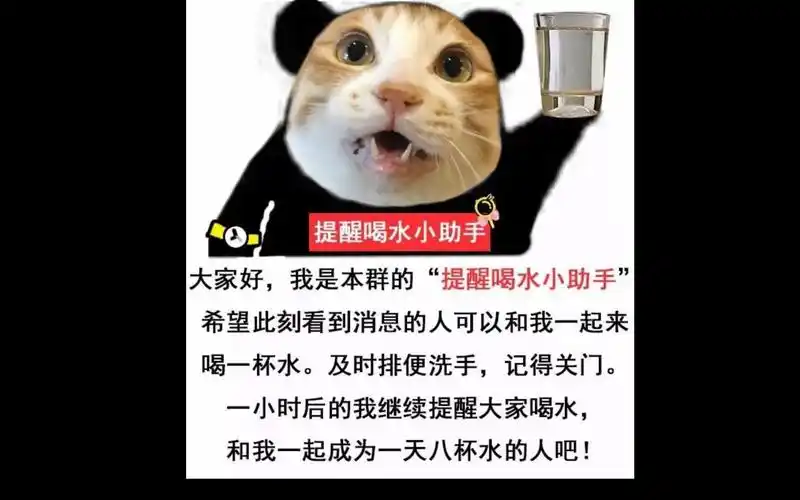 【190527 yukiri 直播录制】tricky towers pummel party 雨中冒险