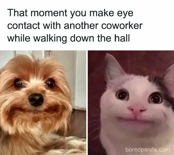 真实打工人沙雕梗图,请停止偷窥我的生活!