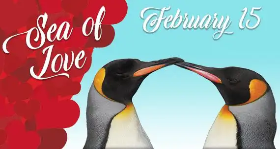 sea of love: a romantic dinner under the sea with your valentine