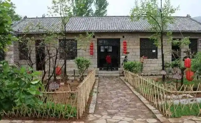 农村大院子这样设计也太美了能让城里人羡慕