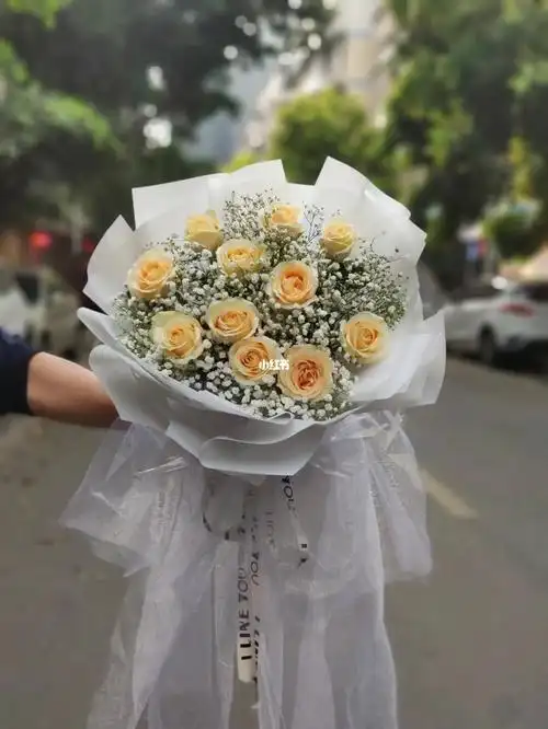 11支香槟玫瑰满天星花束