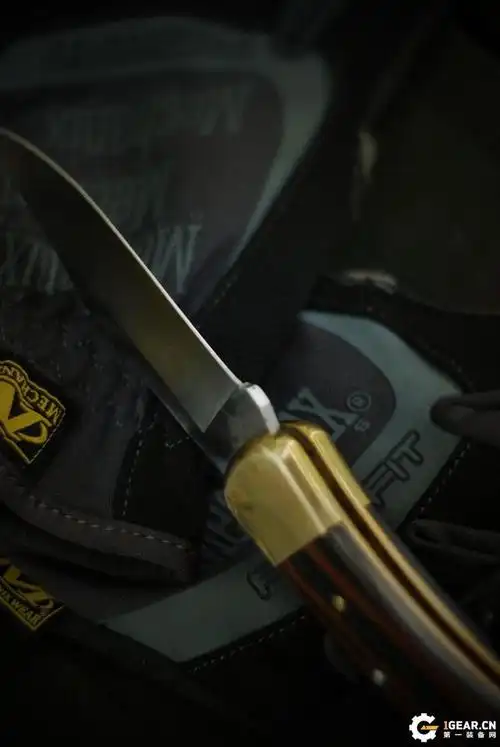 buck110刀款型及价格,buck110刀具历史 - 好技术常识经验网