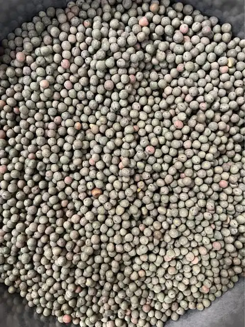 批发大叶豌豆种子 大叶豌豆苗 无土栽培芽苗菜种子