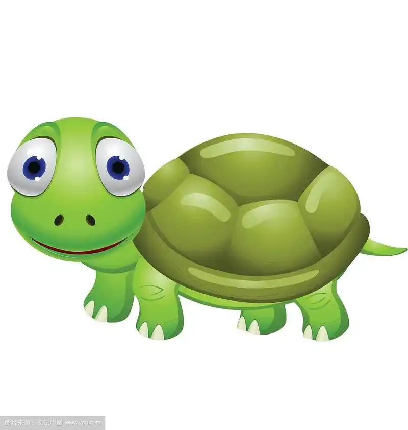 乌龟卡通