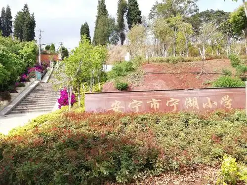 4点时分,几位老人家在安宁市宁湖小学外守后孙子放学,难得!