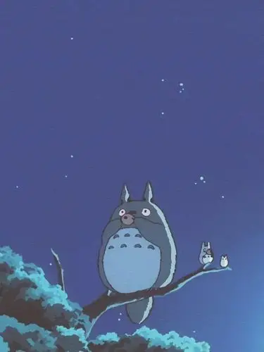 龙猫壁纸今日份治愈系龙猫壁纸来啦