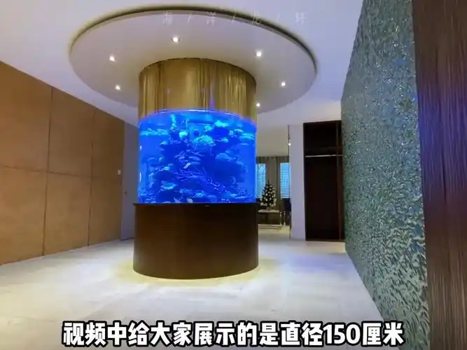 亚克力圆柱形鱼缸给你海洋馆里的视觉冲击