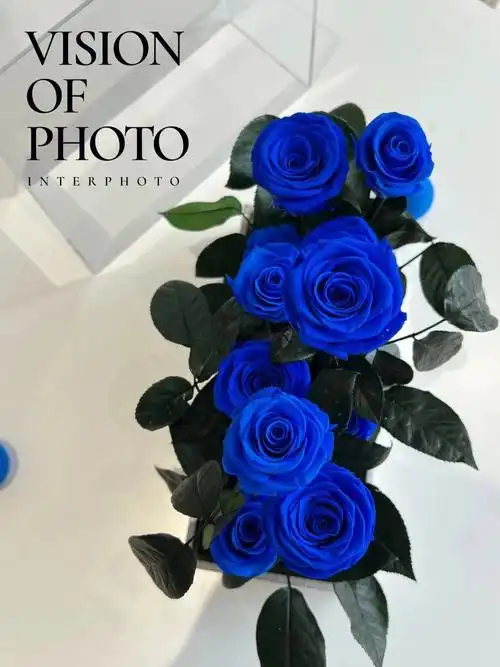 玫瑰也能有克莱因蓝