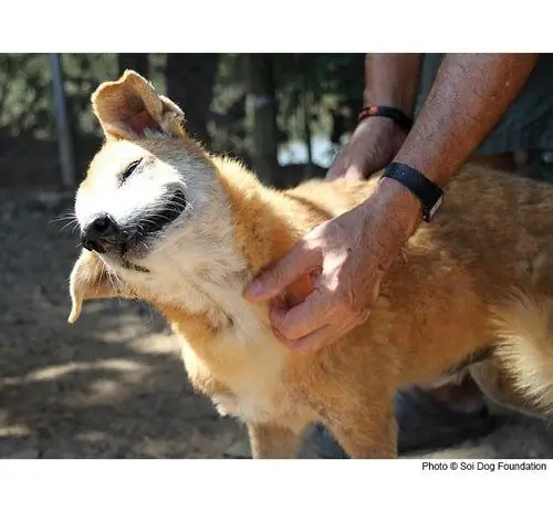 roll over image to zoom in