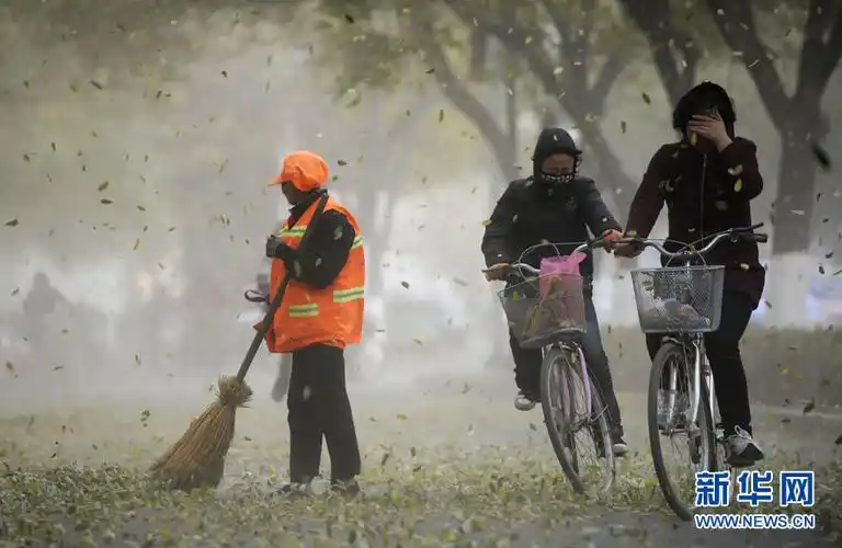 乌夜啼.昨夜狂风紧