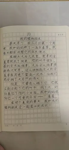 我的植物朋友——三1习作交流1