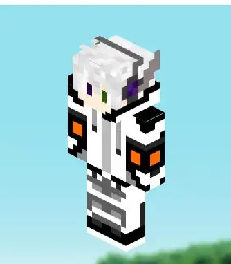 我的世界有皮肤的名字