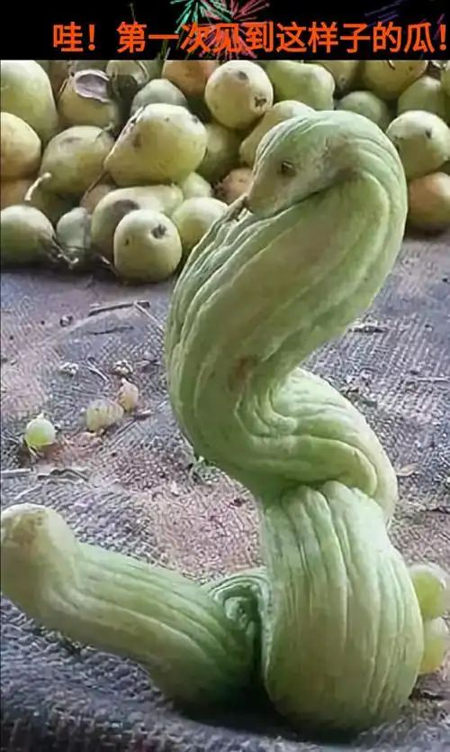 难忘的奇怪照片!