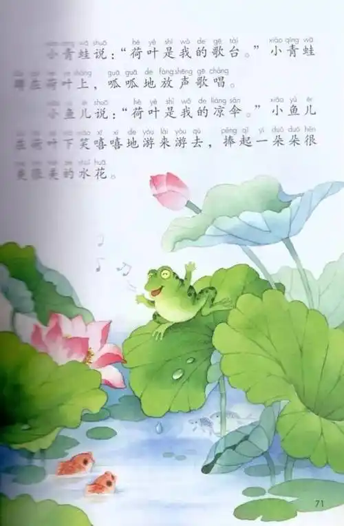 课文 第十三课 荷叶圆圆