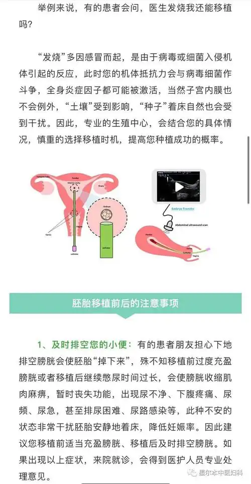 胚胎移植后的注意事项